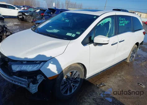 2024 Honda Odyssey Ex-L из США, поврежденный, VIN 5FNRL6H66RB008256